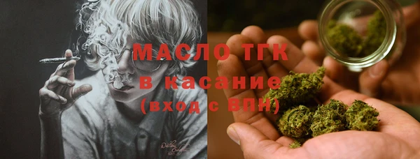 гидра Елабуга
