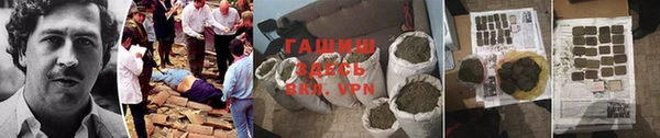 гидра Елабуга