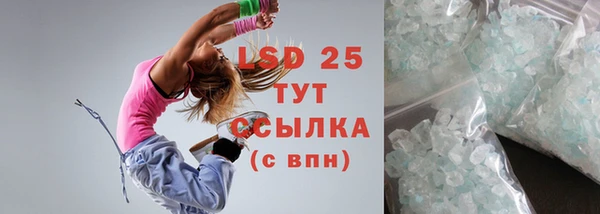 гидра Елабуга