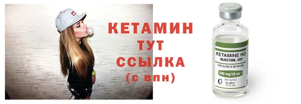 СК Дмитров