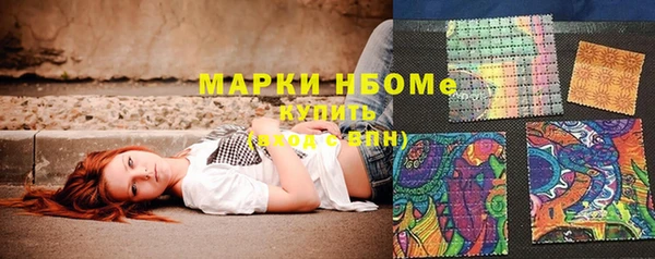 СК Дмитров