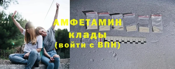 дурь Ельня