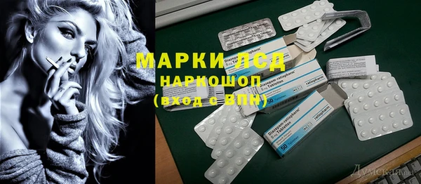 гидра Елабуга