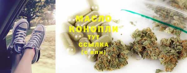 гидра Елабуга