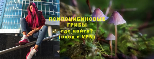 дурь Ельня