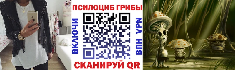 Галлюциногенные грибы мицелий  купить наркоту  KRAKEN ONION  Фурманов 