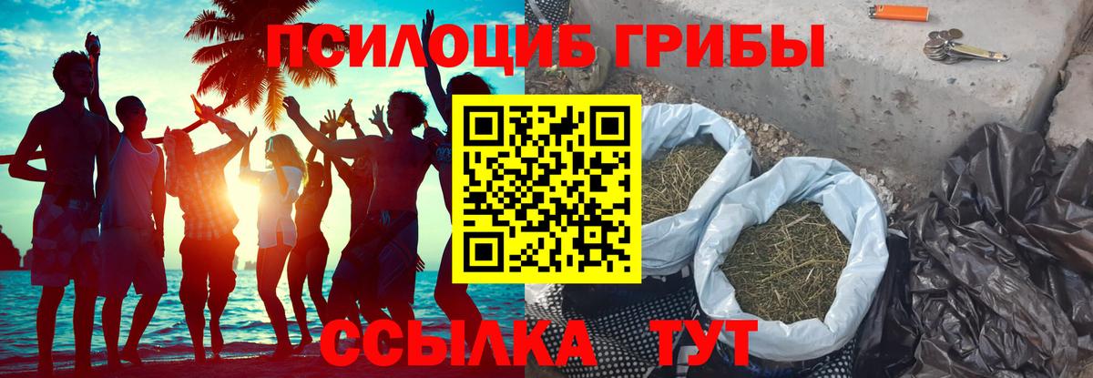Фурманов  купить наркотики цена  Вход с VPN  Галлюциногенные грибы Psilocybe 