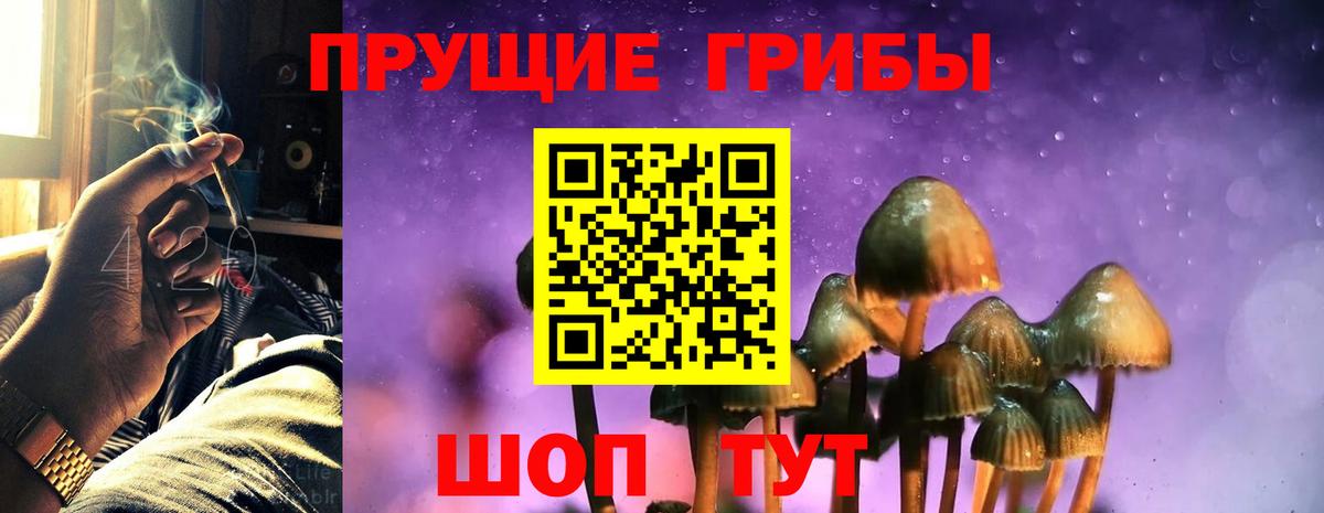 Псилоцибиновые грибы Psilocybine cubensis Фурманов